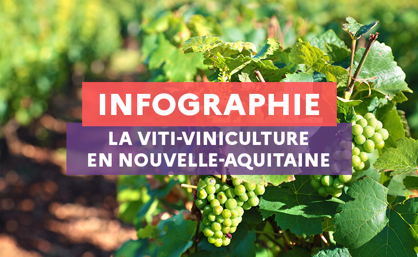 infographie viti viniculture en gironde 2025